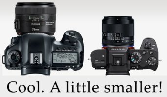 Mirrorless reality2.jpg