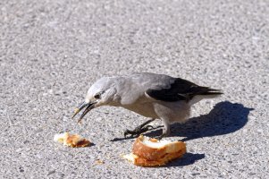 _MG_4051 copy_DxO.jpg