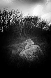 _MG_5375 copy_DxO.jpg