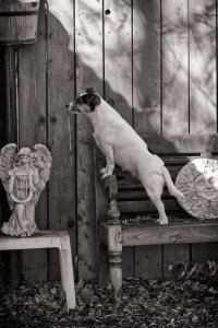 _MG_6689 copy_DxO.jpg