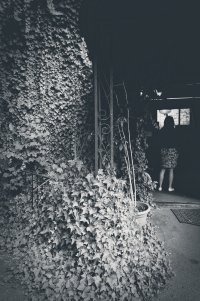 Vine arbour.jpg