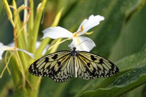 _MG_5130 copy_DxO.jpg