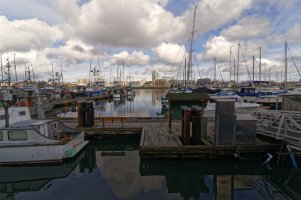 _MG_5353 copy_DxO.jpg