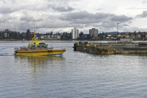 Harbour pilot boat.jpg