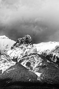 _36A4675 copy_DxO.jpg