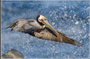 Screen Shot 2018-01-25 at 10.34.34 AM.png