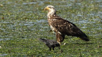 Friends - not really_16341.JPG