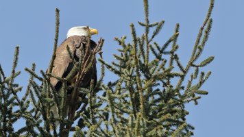 Not a care in the world_16495.JPG