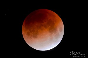 Blue_Blood_SuperMoon_01_RW.jpg