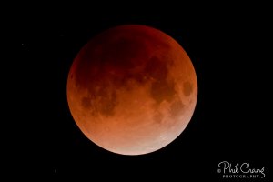 Blue_Blood_SuperMoon_03_RW.jpg