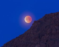 IMG_9378 NR crop low q.jpg