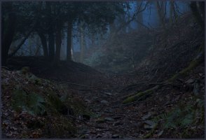 Follow the light.jpg