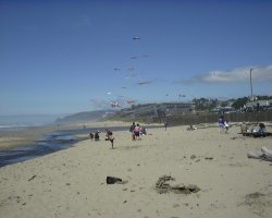 oregon beach, june 98.jpg