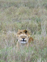 Smile for the Camera.jpg