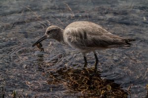 MAB-20180218-2406.jpg