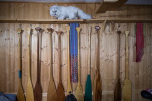 IMG_0196.jpg