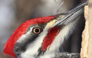 What's this_4903.JPG