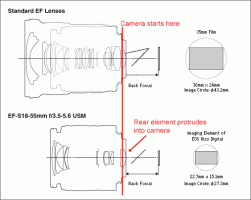 TheFactThatBitYourAssB Kopie.gif