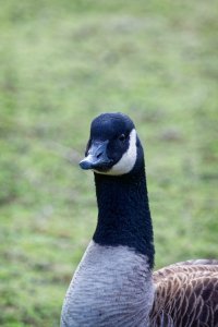 _36A2480_DxO copy.jpg