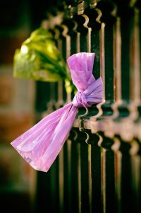 Apple Photos Document.jpg