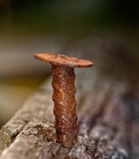 136A2622_DxO copy.jpg