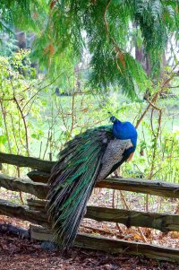 _36A2280_DxO copy.jpg