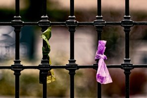 _36A2670_DxO copy-1-Edit.jpg