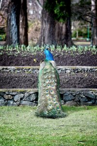 _36A3202_DxO copy.jpg