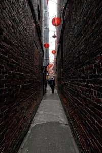 _DSF7317.jpg