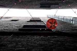 _DSF7320.jpg