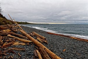 _MG_5155_DxO copy.jpg