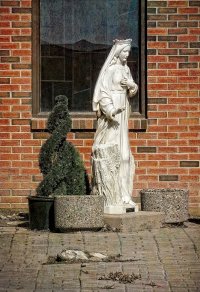 _DSF8128 copy-Edit.jpg