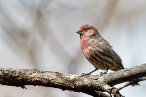 _36A4029_DxO copy.jpg