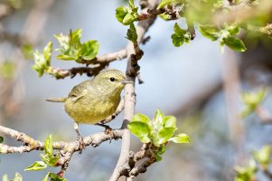 _36A4757_DxO copy.jpg