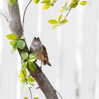 _36A4784_DxO copy.jpg