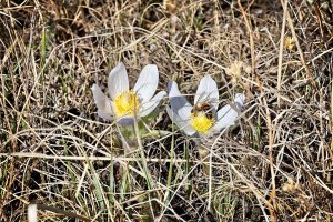 _MG_7575_DxO copy.jpg