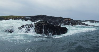 Sony xPeria Z2 - Whalewatching Near Tofino, BC, Canada.jpg