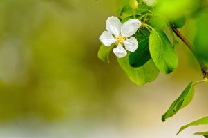 _36A5925_DxO copy.jpg