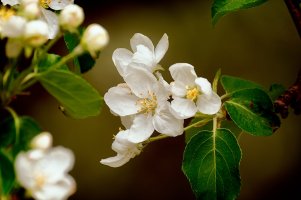 _36A5914_DxO copy-1-Edit.jpg