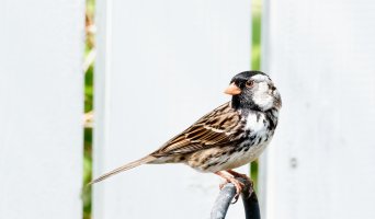 _36A6432_DxO copy.jpg