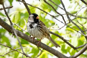 _36A6275_DxO copy.jpg