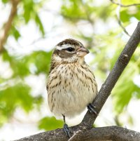 _36A6438_DxO copy.jpg