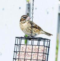 _36A6566_DxO copy.jpg