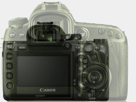 A7R3 vs 5D4 back.jpg