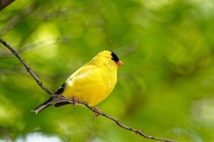 _36A6897_DxO copy.jpg