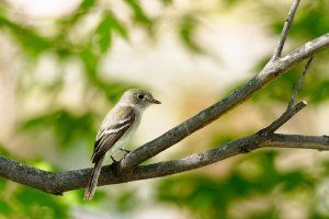 _36A6788_DxO copy.jpg