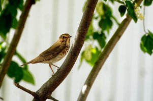 _36A7089_DxO copy.jpg