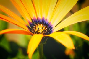 _MG_7764_DxO copy.jpg