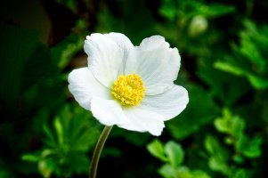 _MG_7731_DxO copy.jpg