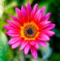 _MG_7726_DxO copy.jpg